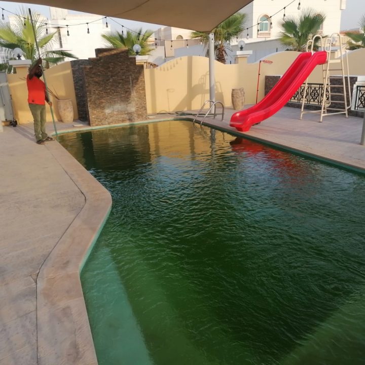Neglected pool before Aqua Safe